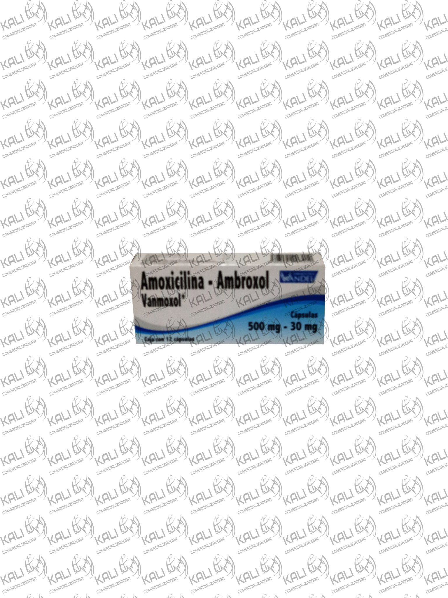 VANMOXOL 12 CAPS 500/30 MG (AMBROXOL 30.00 MG AMOXICILINA 500.00 MG)
