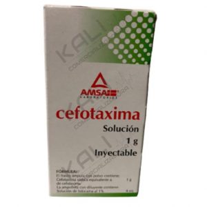 Cefotaxima