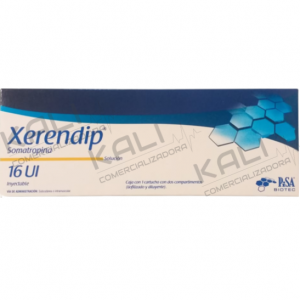 Xerendip