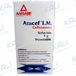 AMCEF I.M.