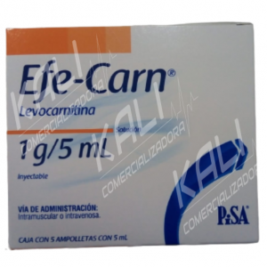 Efe-Carn