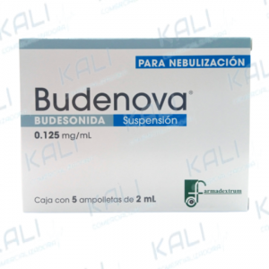 Budenova