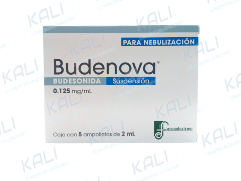 Budenova