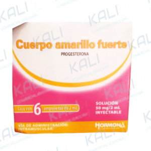 Cuerpo Amarillo Fuerte