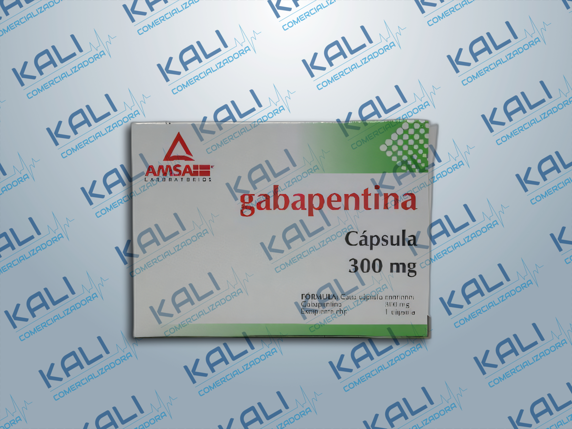 GI GABAPENTINA 300MG C/15 CAPS (AMSA)
