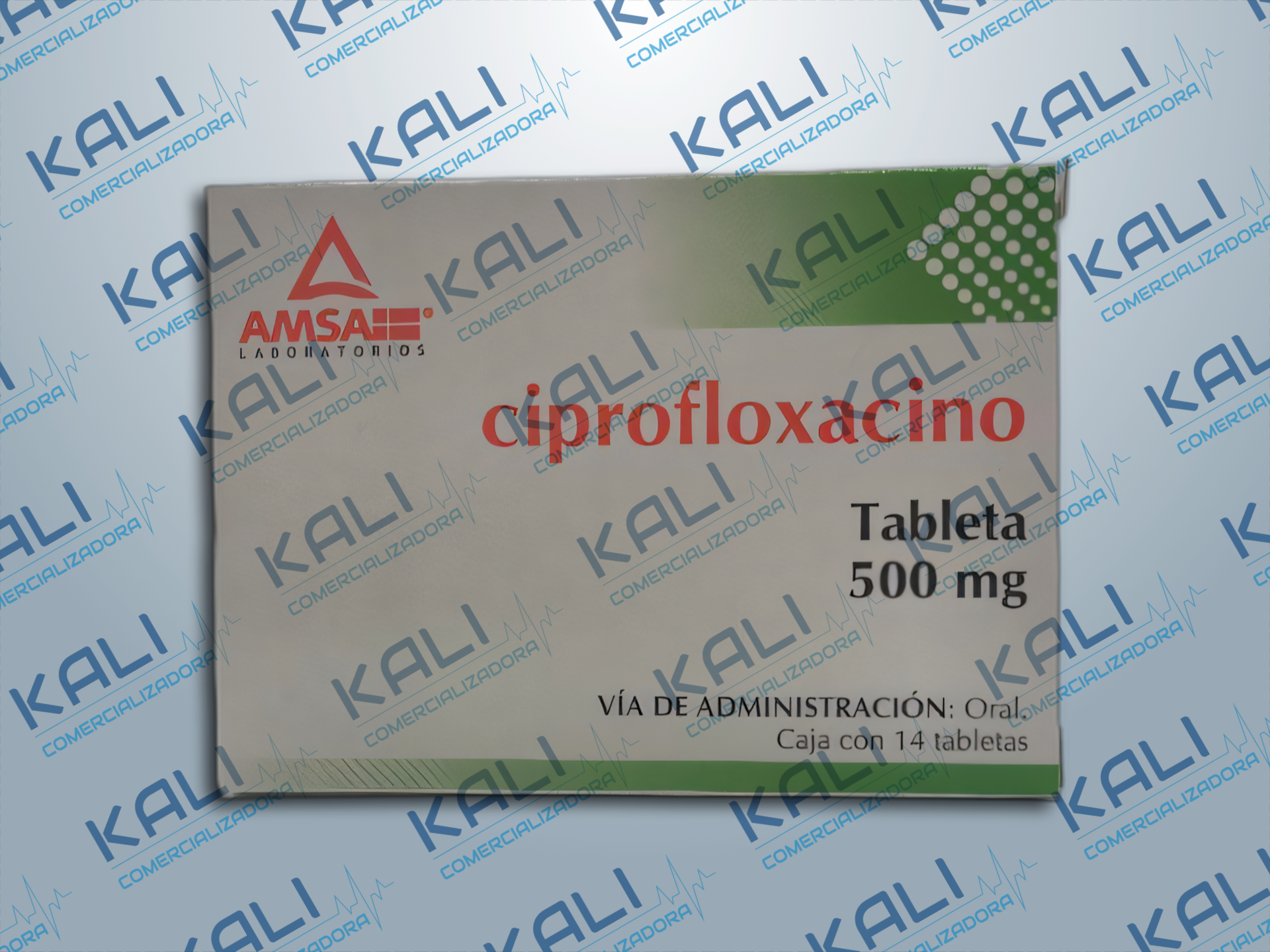 GI CIPROFLOXACINO 500MG C/14 TABLETAS (AMSA)