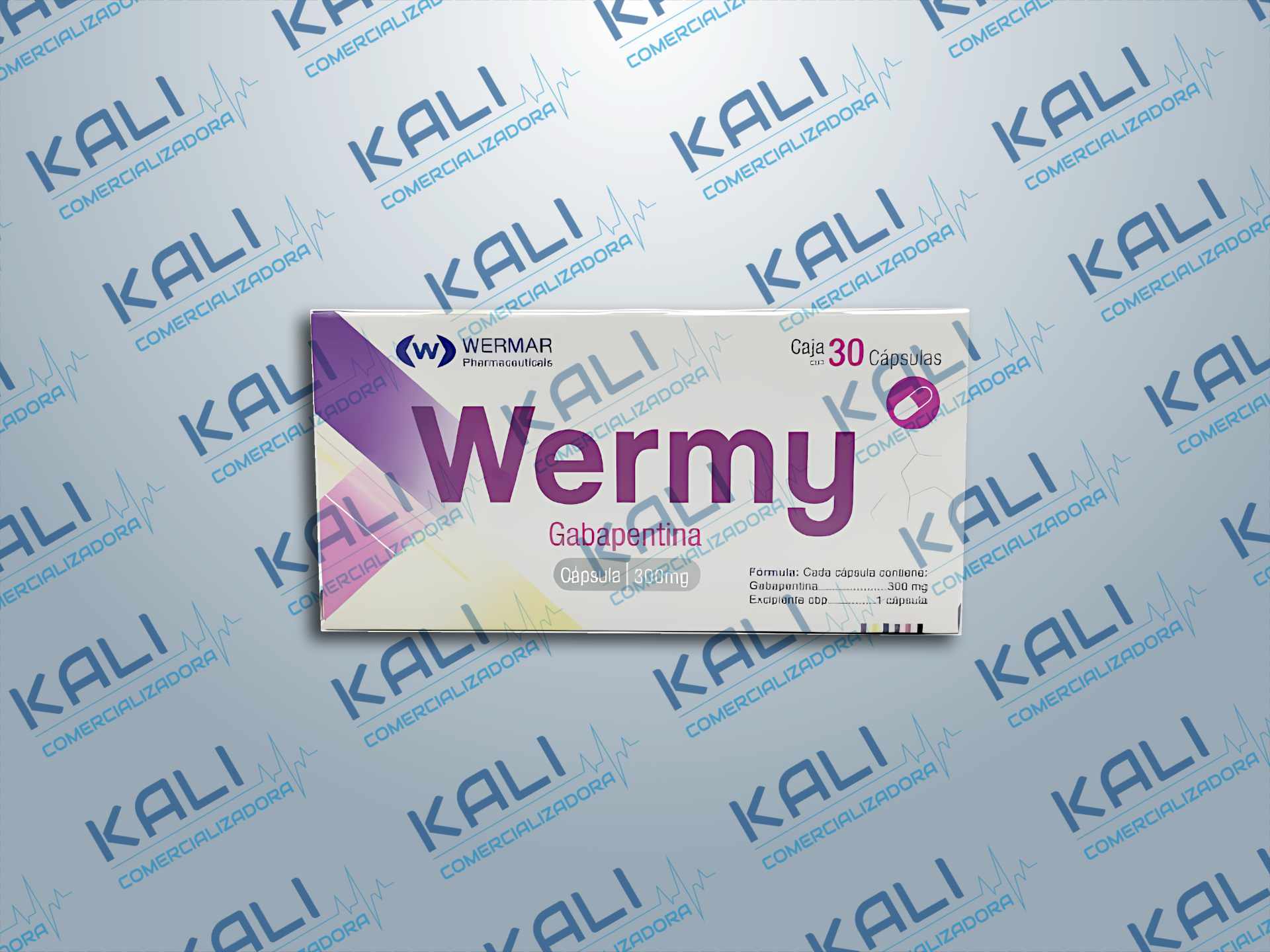 GI GABAPENTINA 300MG C/30 TAB (WERMY)