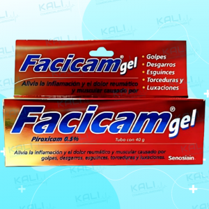 FACICAM