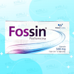 FOSSIN