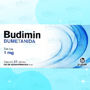 BUDIMIN