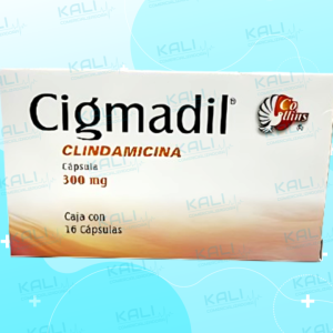 CIGMADIL